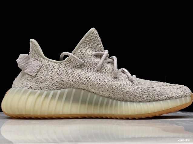 Yeezy Sesame F99710 Boost Adidas V2 350 0904